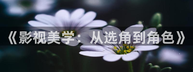 星辰影院高清视频