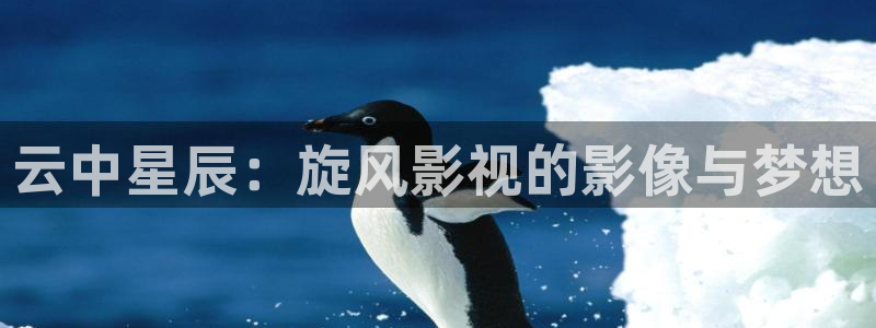 2025似锦在线观看星辰影院