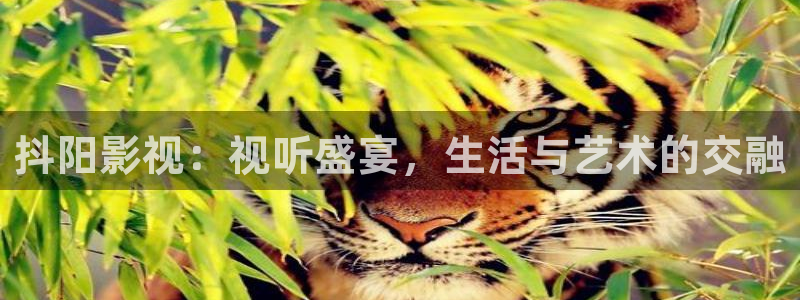 榜上佳婿星辰影院