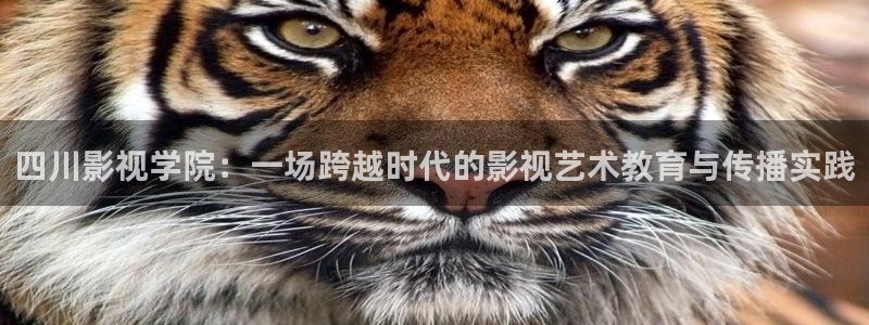 星辰影院动漫在线观看
