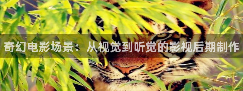 星辰影院在线电影